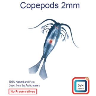 DVH Ocean Prime Copepods 2 mm 50 g