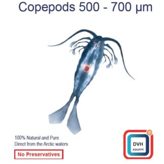 DVH Ocean Prime Copepods 500–700 µm 50 g